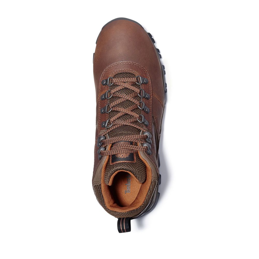 Botas de Montaña Timberland Hombre Mt. Maddsen Mid Waterproof Marrones - Chile AQK-843271